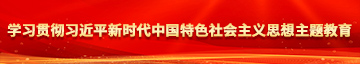 美女被操呻.吟爽歪歪学习贯彻习近平新时代中国特色社会主义思想主题教育